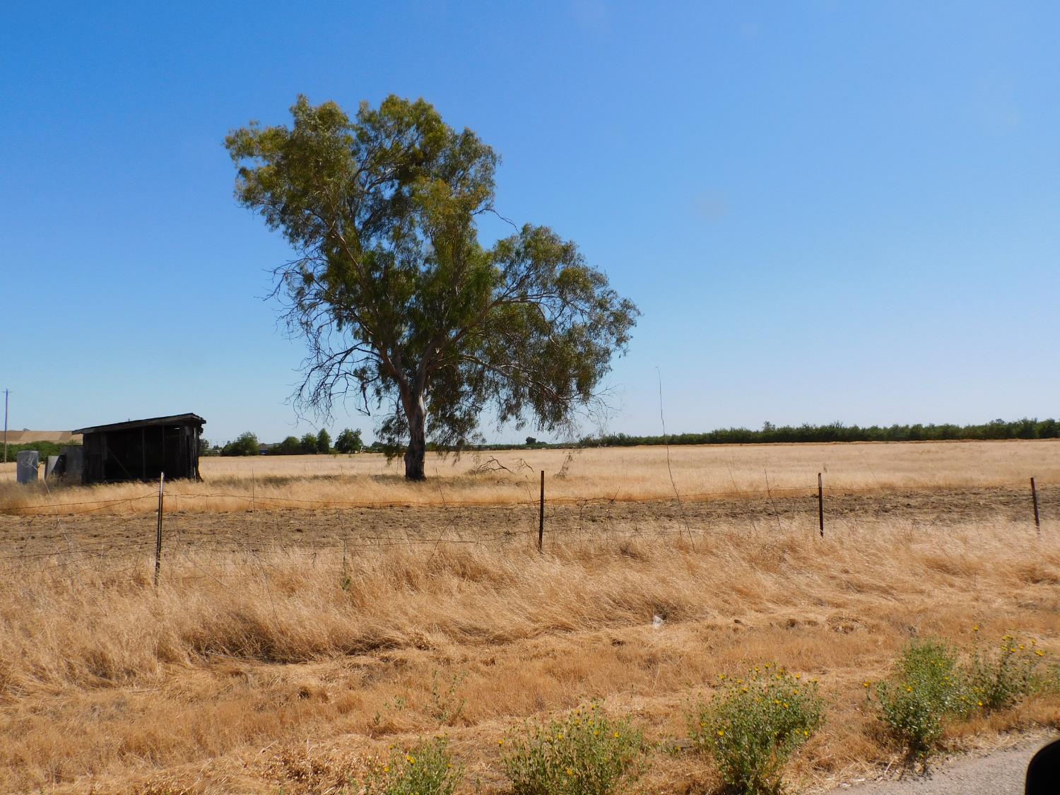 Detail Gallery Image 8 of 15 For 22492 Road 19, Chowchilla,  CA 93610 - – Beds | – Baths