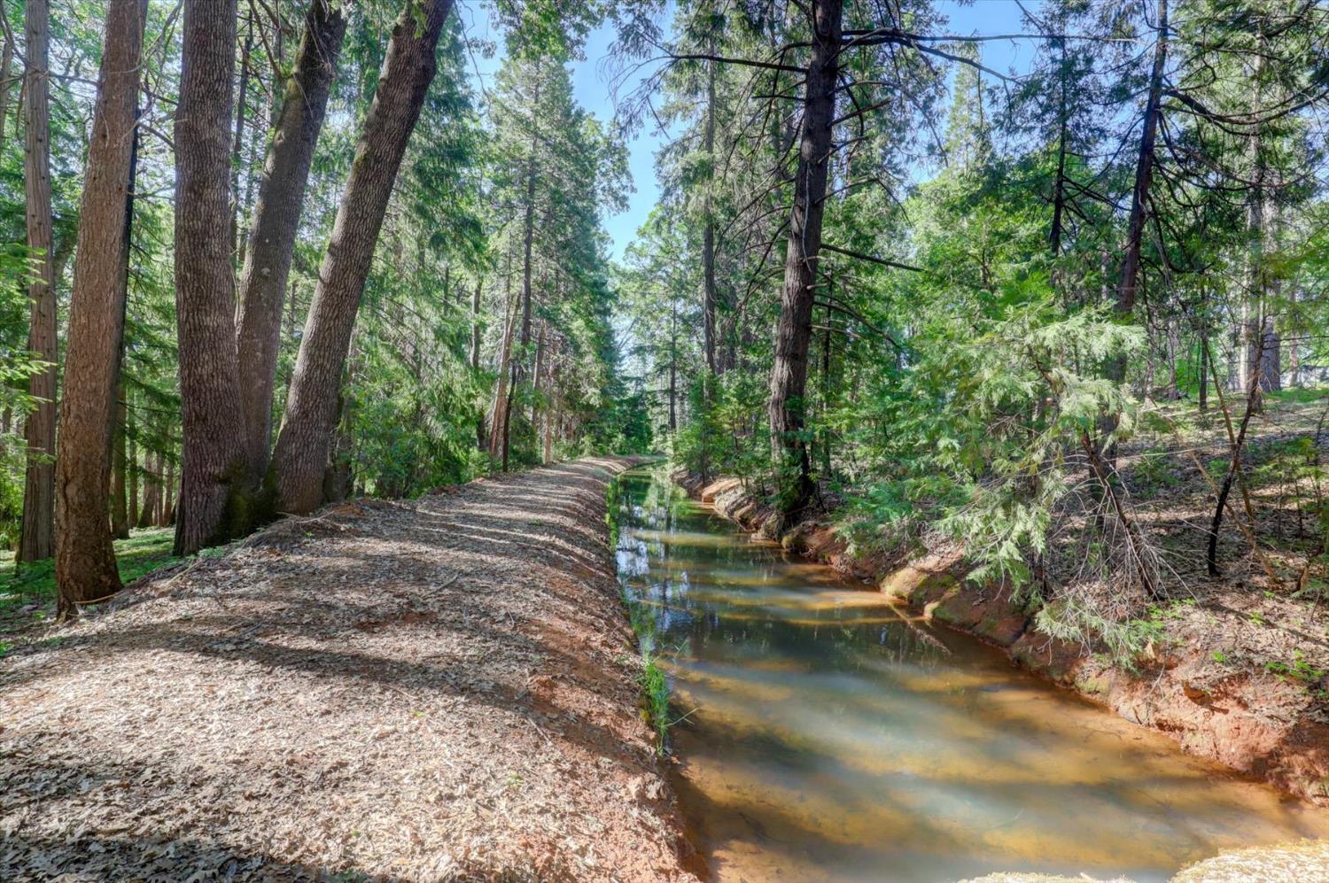 Detail Gallery Image 63 of 99 For 13459 Bass Trail, Grass Valley,  CA 95945 - 4 Beds | 3 Baths