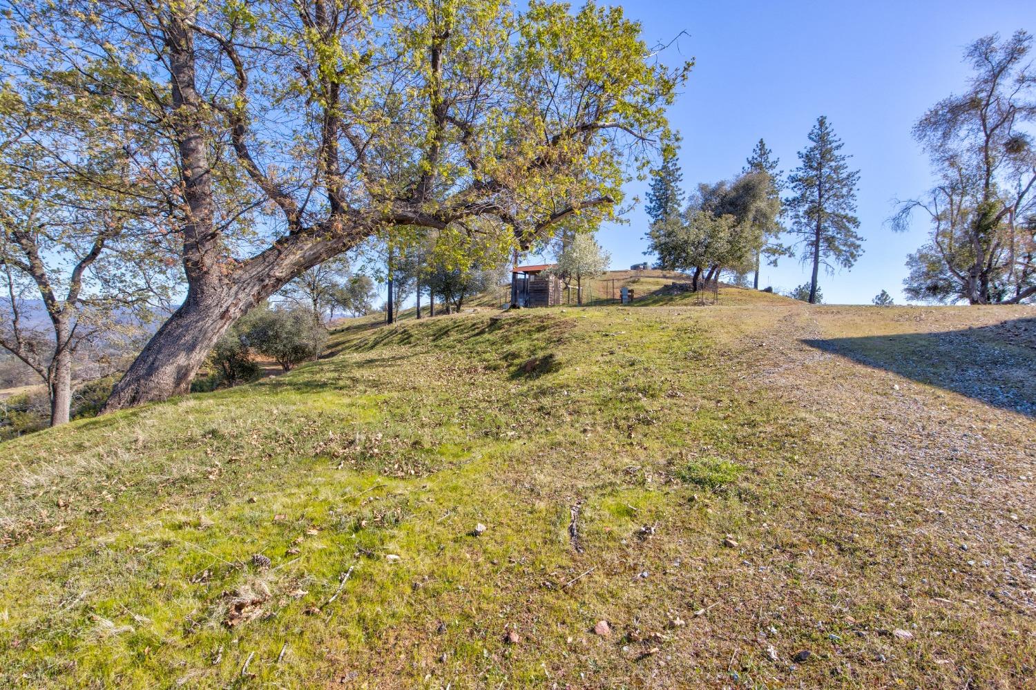 Detail Gallery Image 51 of 90 For 7005 Mountain Ranch Rd, Mountain Ranch,  CA 95246 - – Beds | – Baths