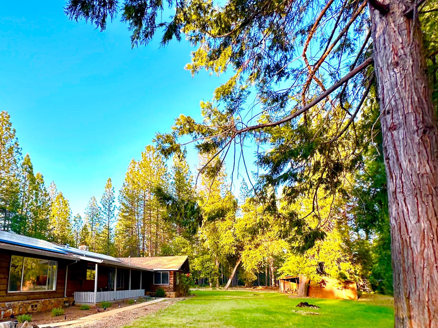 Detail Gallery Image 33 of 41 For 1997 Independence Cemetery Rd, Rail Road Flat,  CA 95257 - 3 Beds | 2 Baths