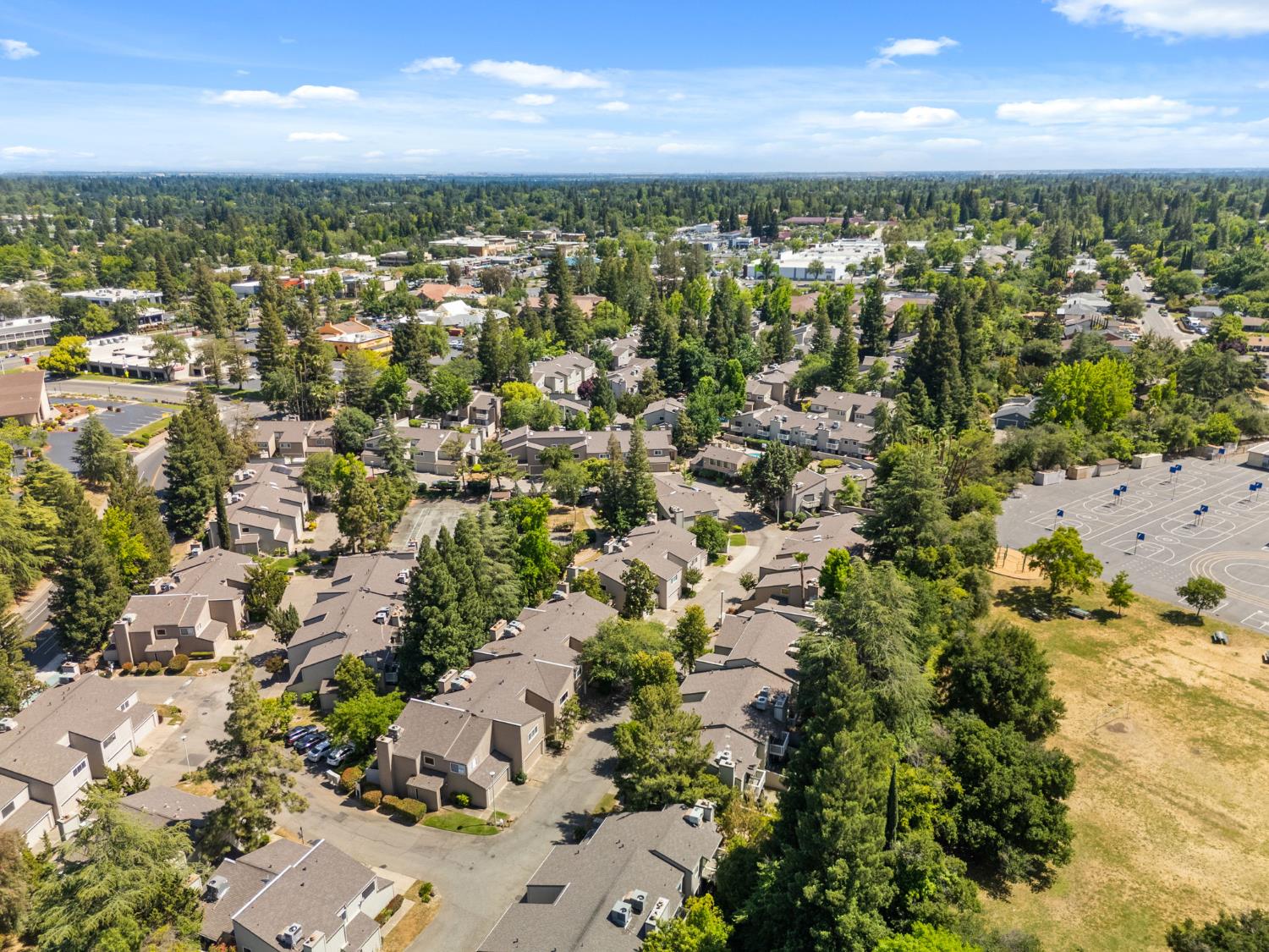 Photo #38: 225066352 Listing: Photo #38