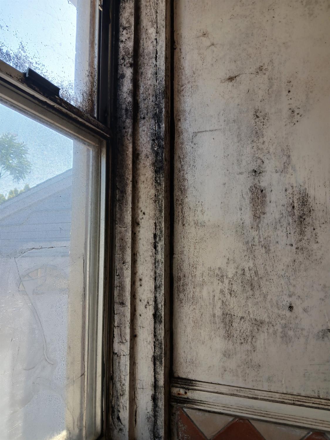 Detail Gallery Image 64 of 80 For 254 Woodbridge Ave, Yuba City,  CA 95991 - – Beds | – Baths