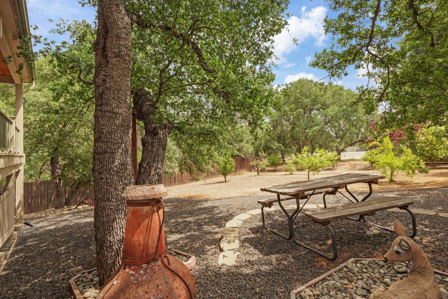 Detail Gallery Image 58 of 65 For 658 Live Oak Dr, Angels Camp,  CA 95222 - 3 Beds | 2/1 Baths