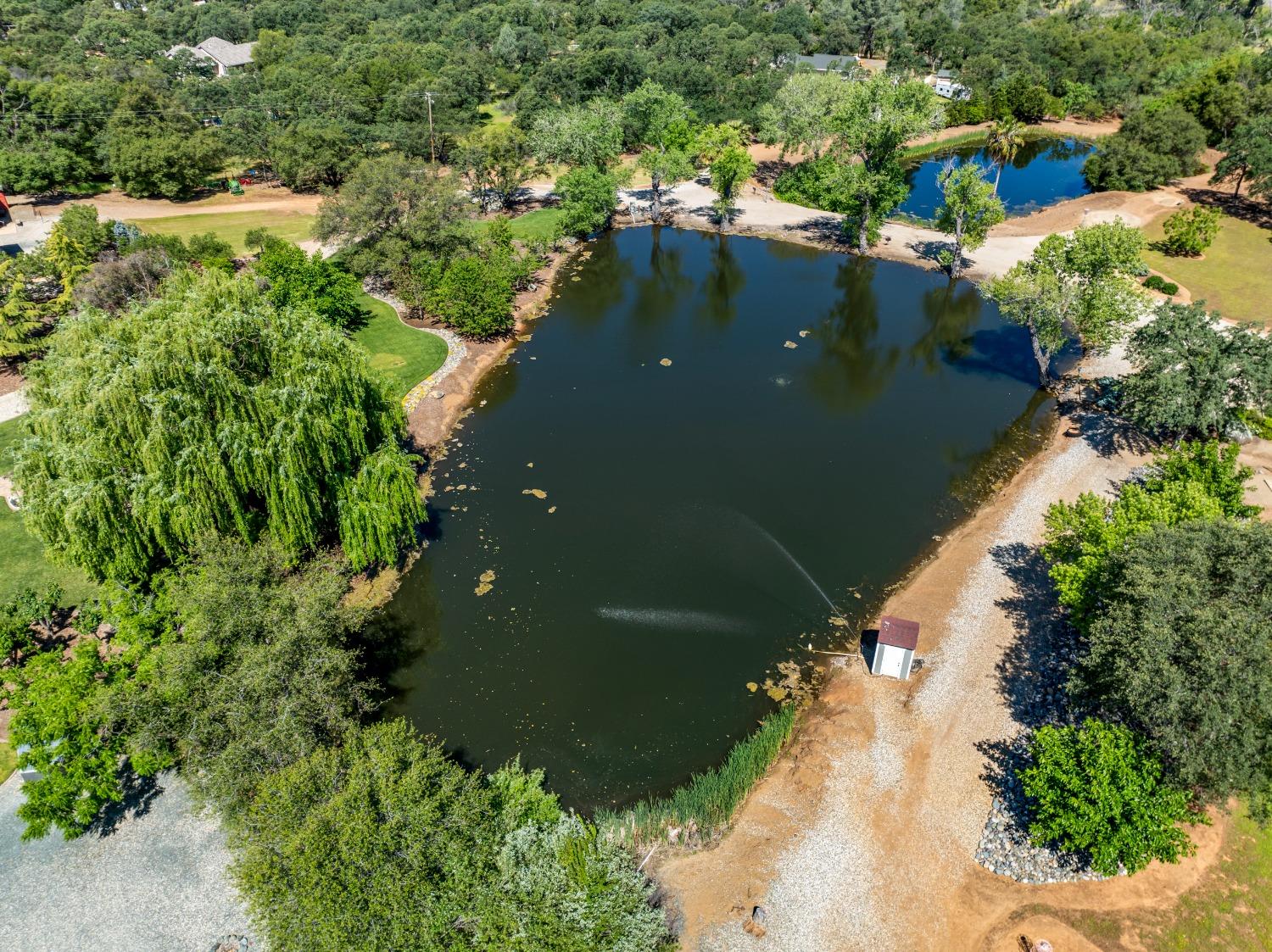 Detail Gallery Image 26 of 98 For 6841 Marysville Rd, Browns Valley,  CA 95918 - 3 Beds | 2 Baths