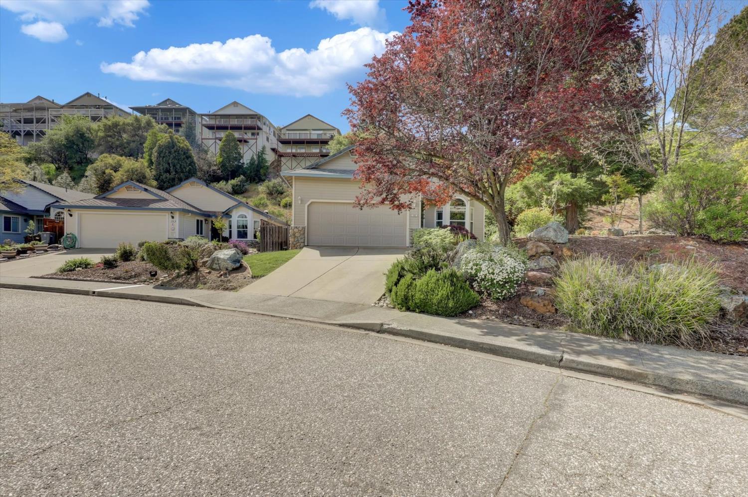 Silkwood Drive, Auburn, California image 44