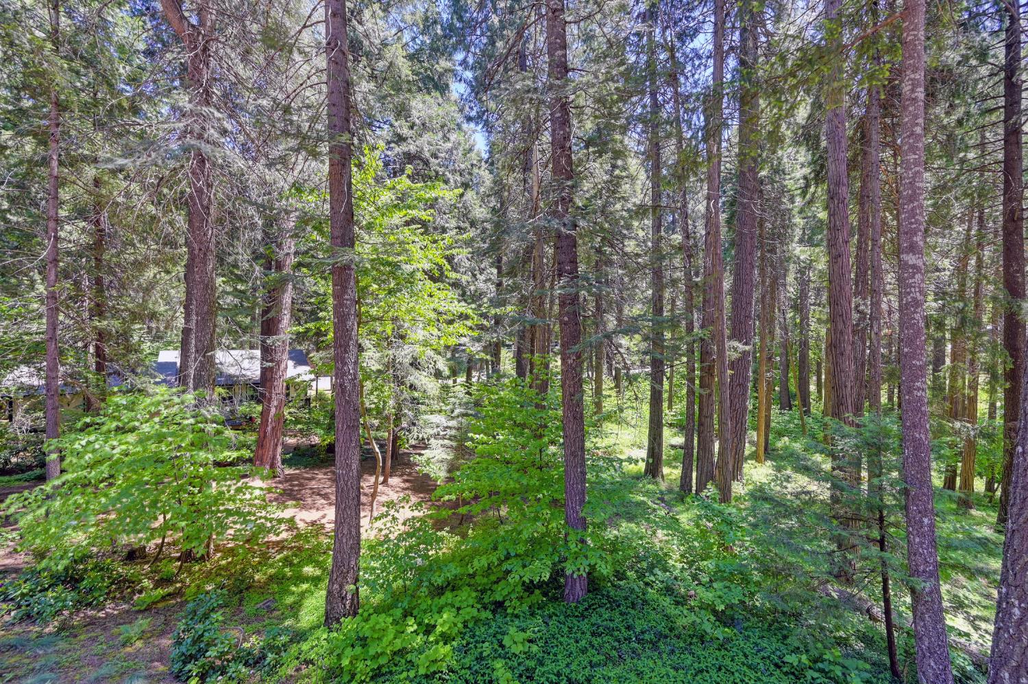 Detail Gallery Image 28 of 36 For 3063 Zinc Dr, Pollock Pines,  CA 95726 - 3 Beds | 2 Baths