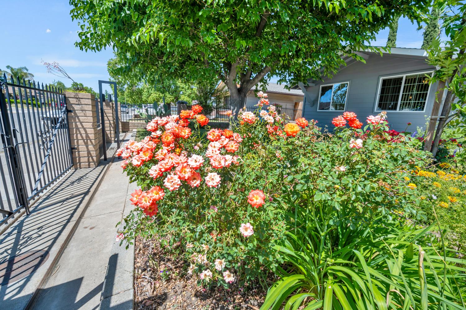 Detail Gallery Image 6 of 47 For 7166 Arutas Dr, North Highlands,  CA 95660 - 3 Beds | 2 Baths