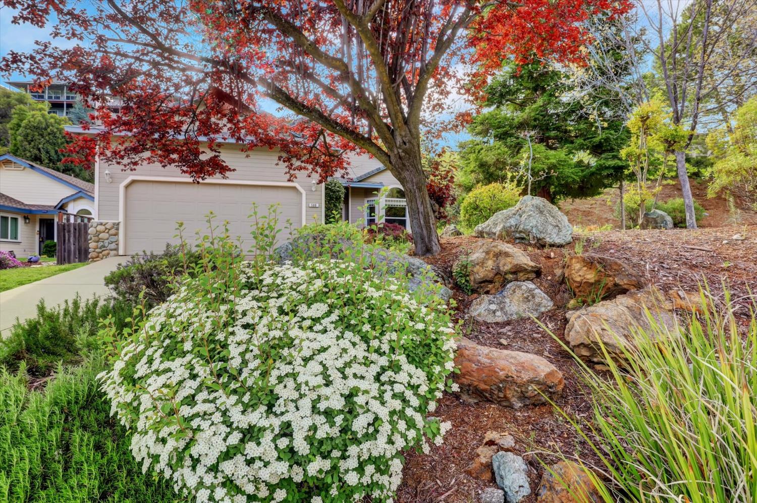 Silkwood Drive, Auburn, California image 41