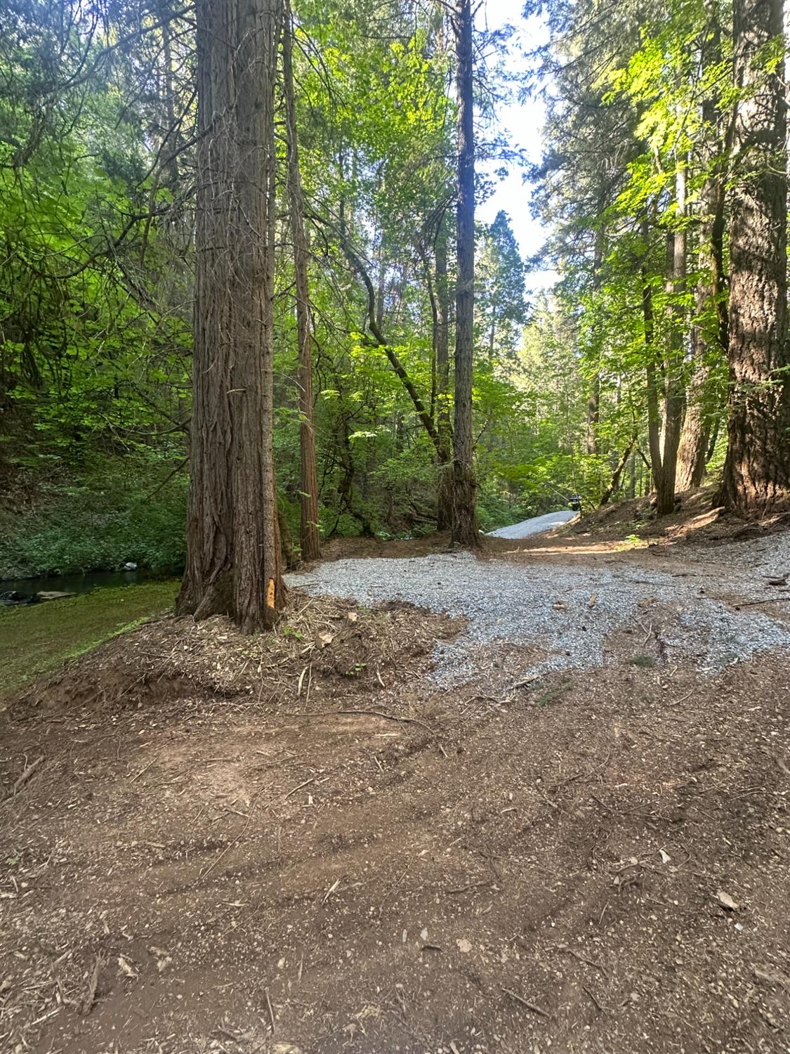 Detail Gallery Image 11 of 14 For 0 Clear Creek Road, Placerville,  CA 95667 - – Beds | – Baths