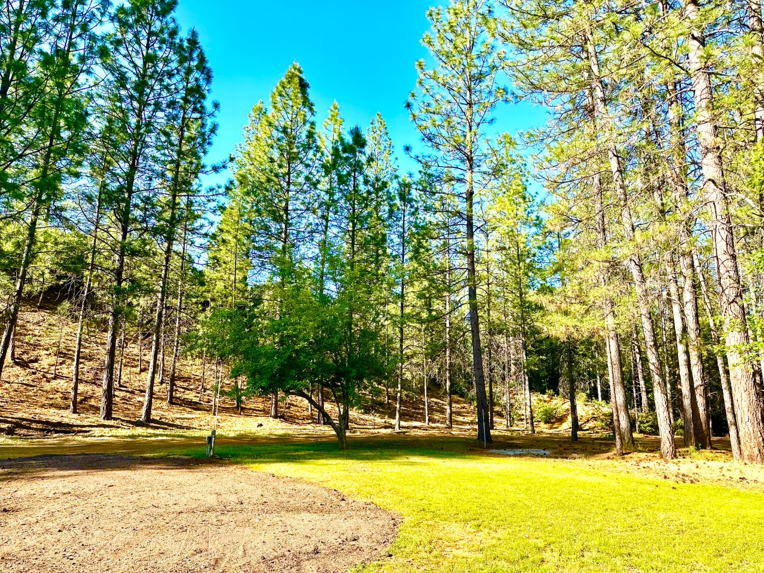 Detail Gallery Image 39 of 41 For 1997 Independence Cemetery Rd, Rail Road Flat,  CA 95257 - 3 Beds | 2 Baths