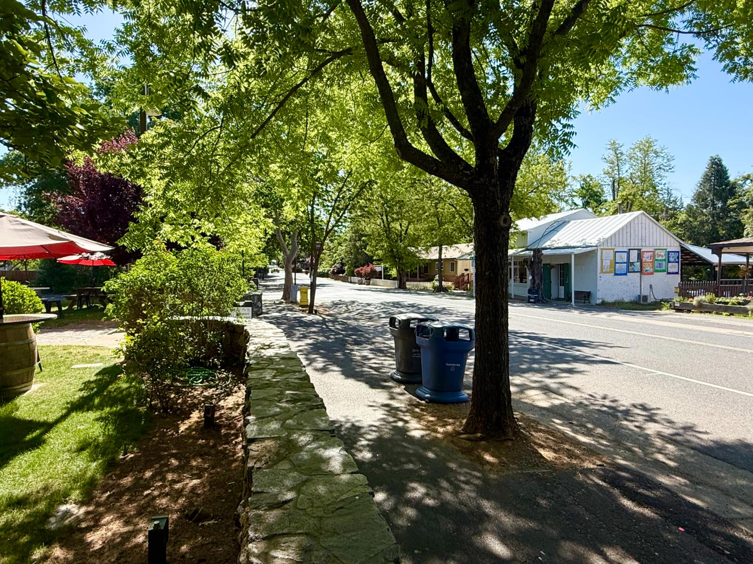 Detail Gallery Image 60 of 74 For 350 Main St, Murphys,  CA 95247 - – Beds | – Baths