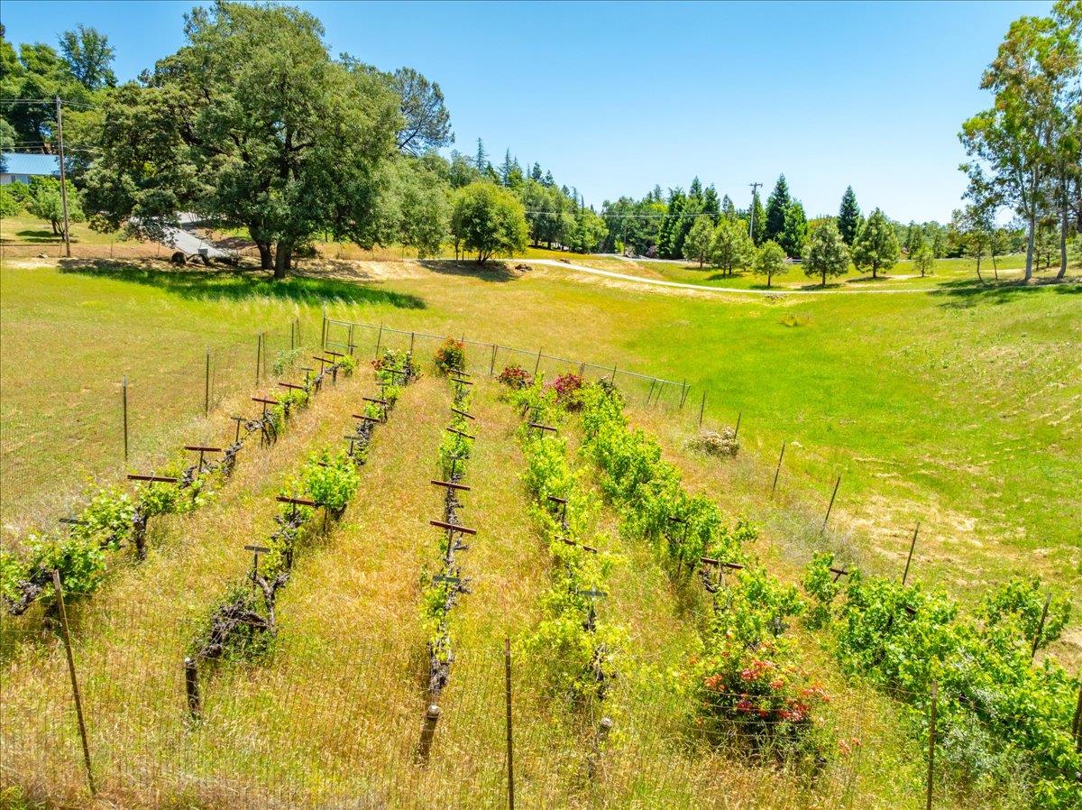 Detail Gallery Image 66 of 73 For 5116 Pondorex Rd, Auburn,  CA 95602 - 4 Beds | 3/1 Baths