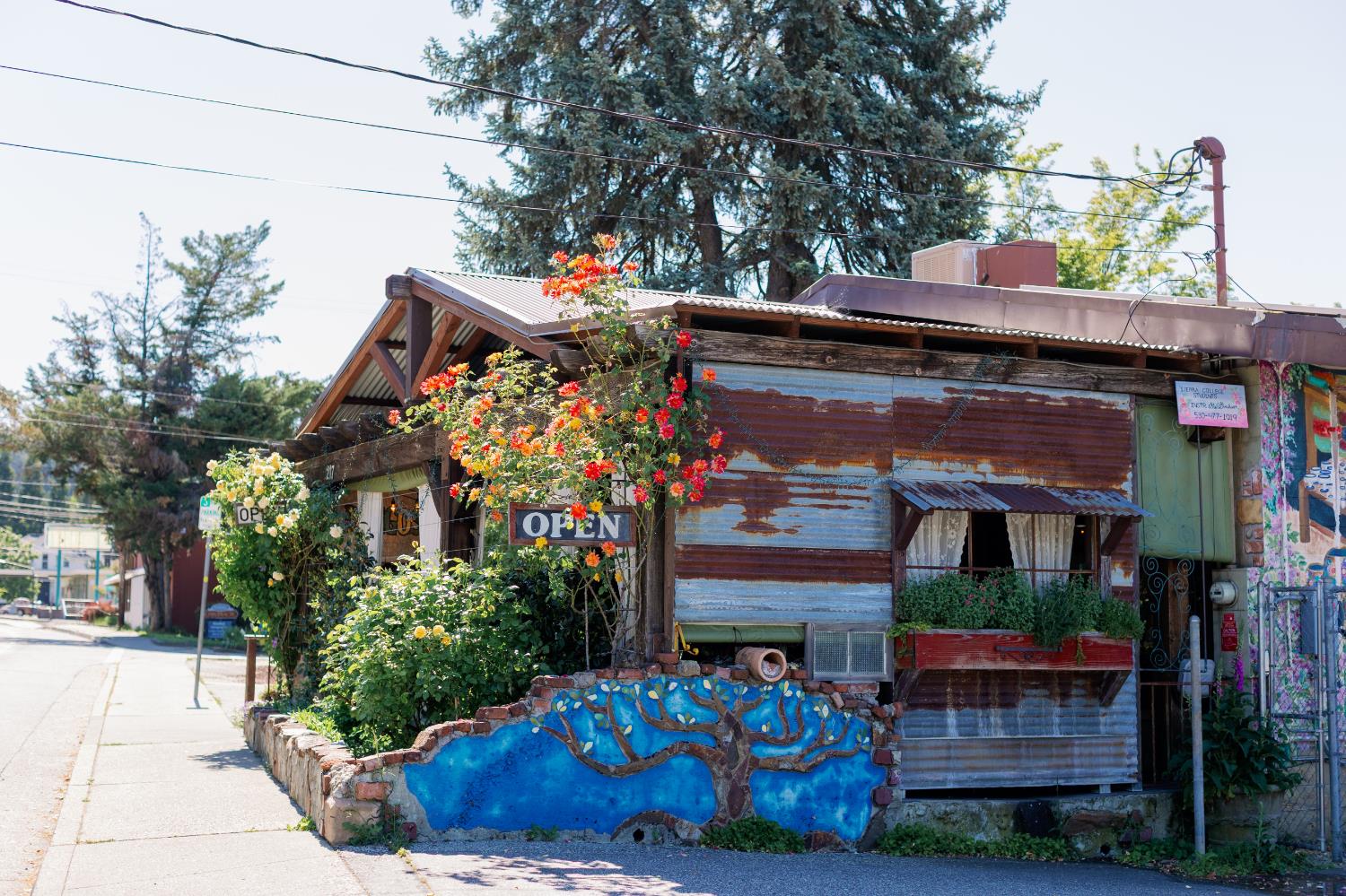 Detail Gallery Image 9 of 28 For 217 Colfax Ave, Grass Valley,  CA 95945 - – Beds | – Baths