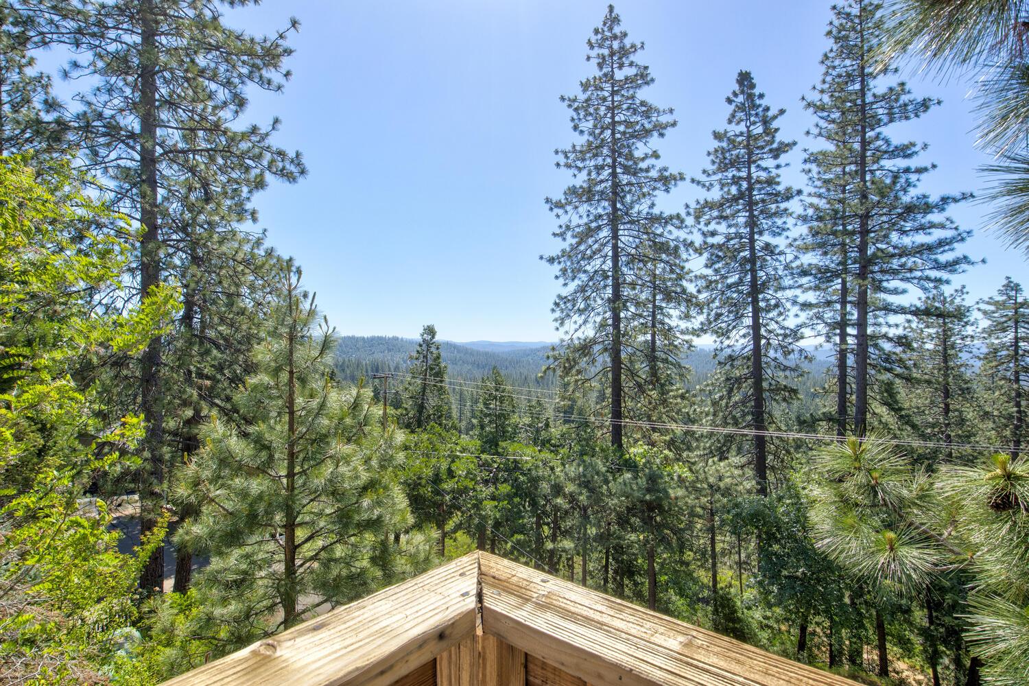 Detail Gallery Image 45 of 58 For 3340 Menominee, Arnold,  CA 95223 - 3 Beds | 2/1 Baths