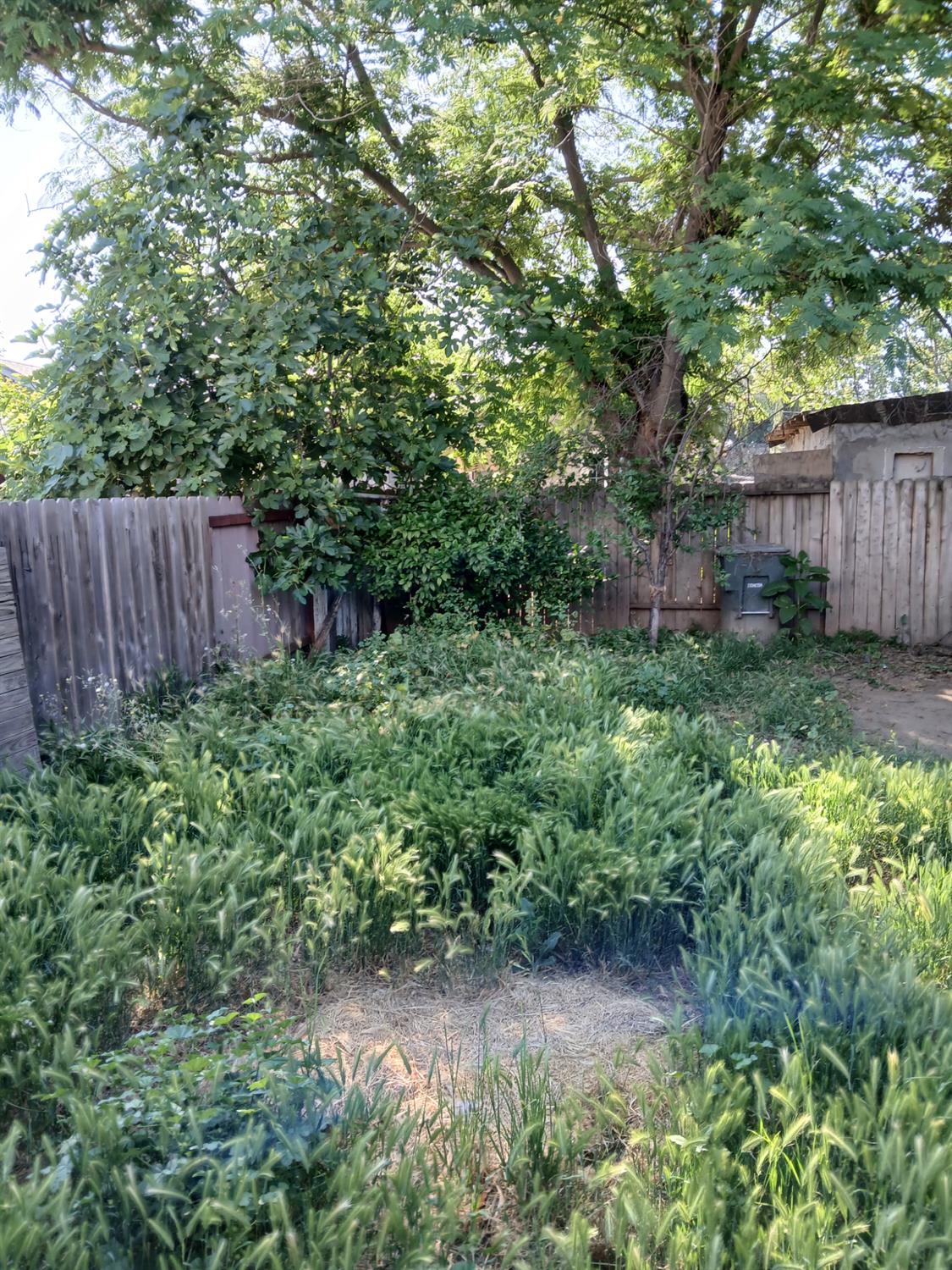 Detail Gallery Image 34 of 80 For 254 Woodbridge Ave, Yuba City,  CA 95991 - – Beds | – Baths
