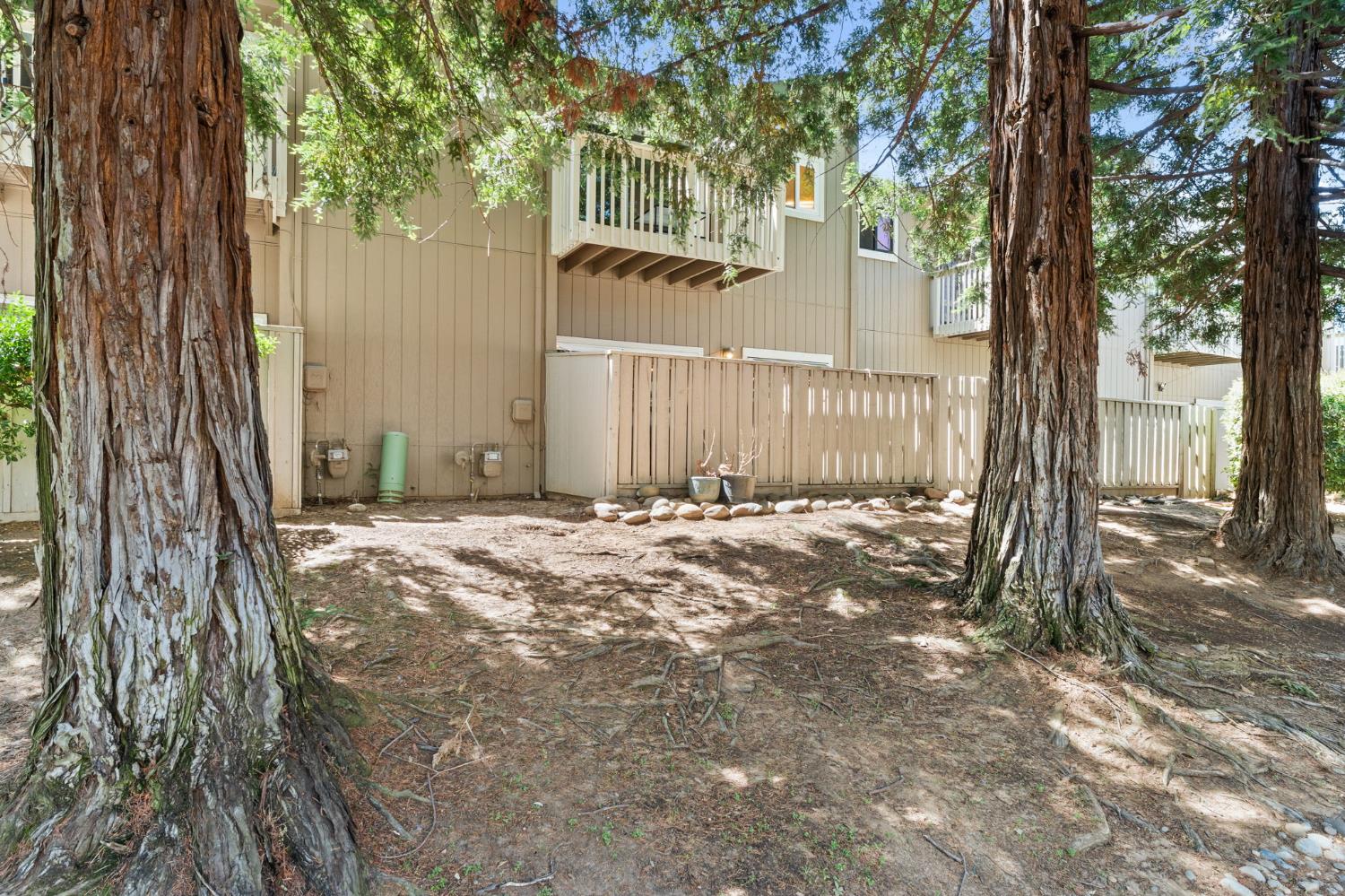 Photo #30: 225066352 Listing: Photo #30