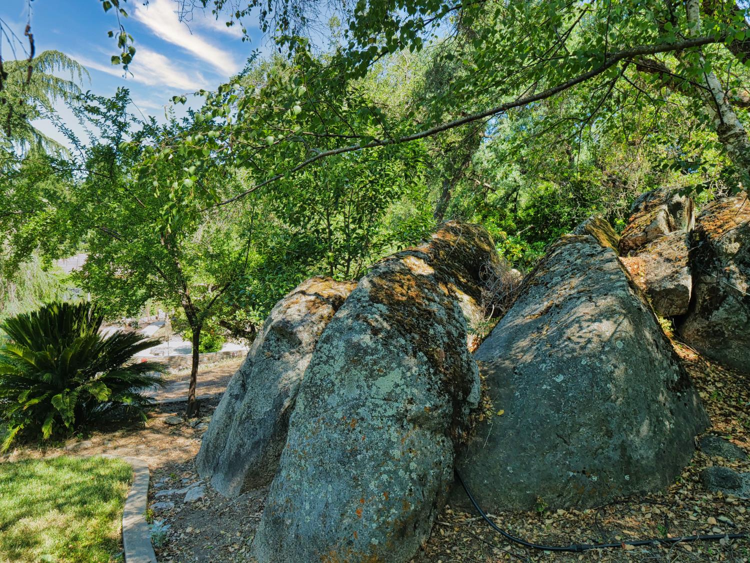 Detail Gallery Image 45 of 77 For 3710 Clover Valley Rd, Rocklin,  CA 95677 - 4 Beds | 3/1 Baths
