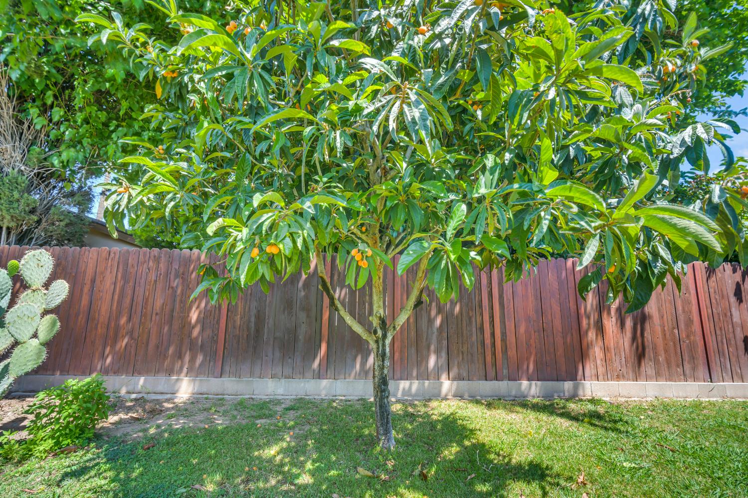 Detail Gallery Image 32 of 47 For 7166 Arutas Dr, North Highlands,  CA 95660 - 3 Beds | 2 Baths