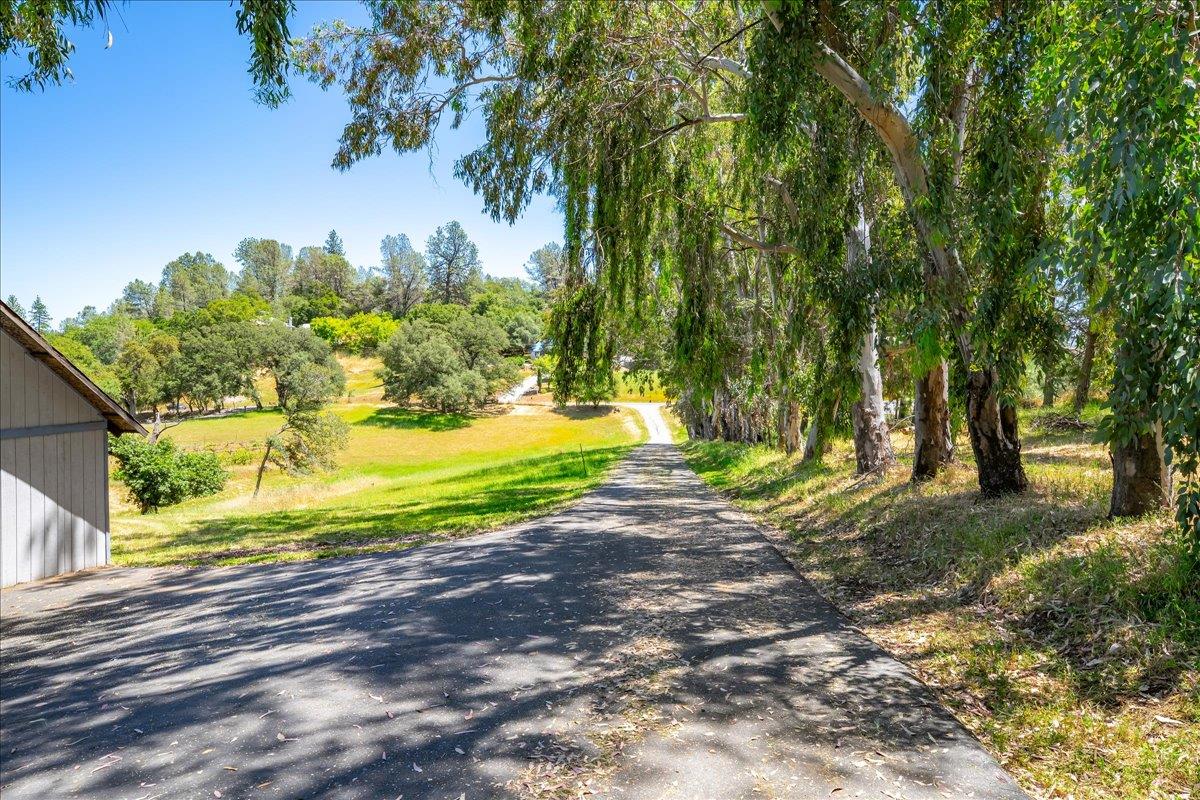 Detail Gallery Image 41 of 73 For 5116 Pondorex Rd, Auburn,  CA 95602 - 4 Beds | 3/1 Baths