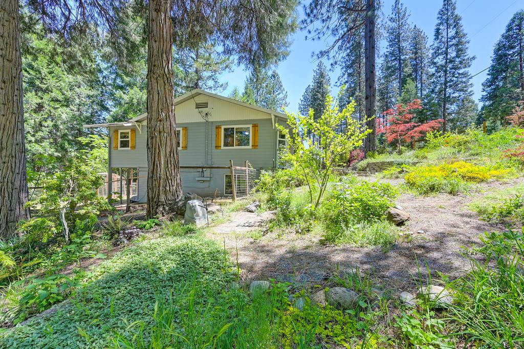 Detail Gallery Image 61 of 99 For 237 Sunnyside Dr, Colfax,  CA 95713 - 3 Beds | 2 Baths