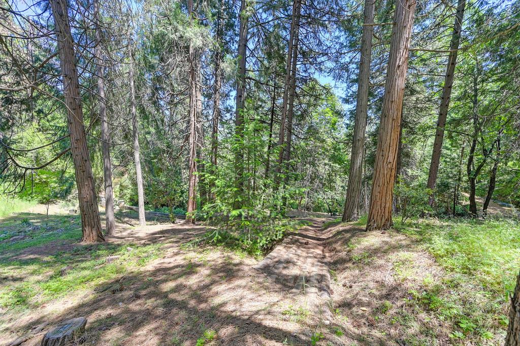 Detail Gallery Image 74 of 99 For 237 Sunnyside Dr, Colfax,  CA 95713 - 3 Beds | 2 Baths