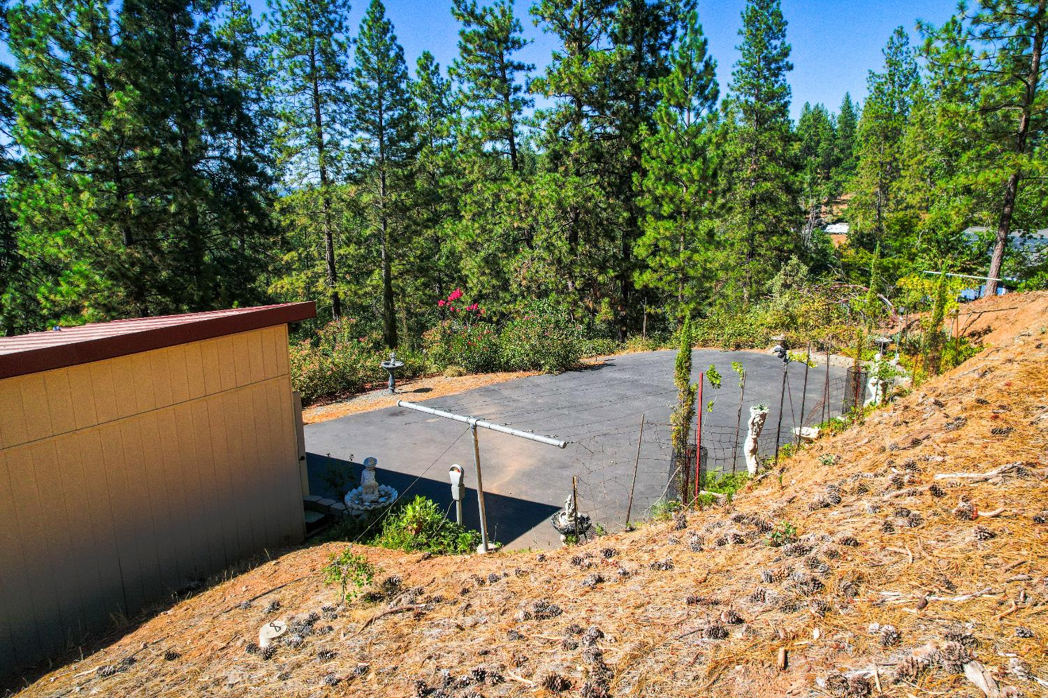 Cedar Valley Road, Colfax, California image 33