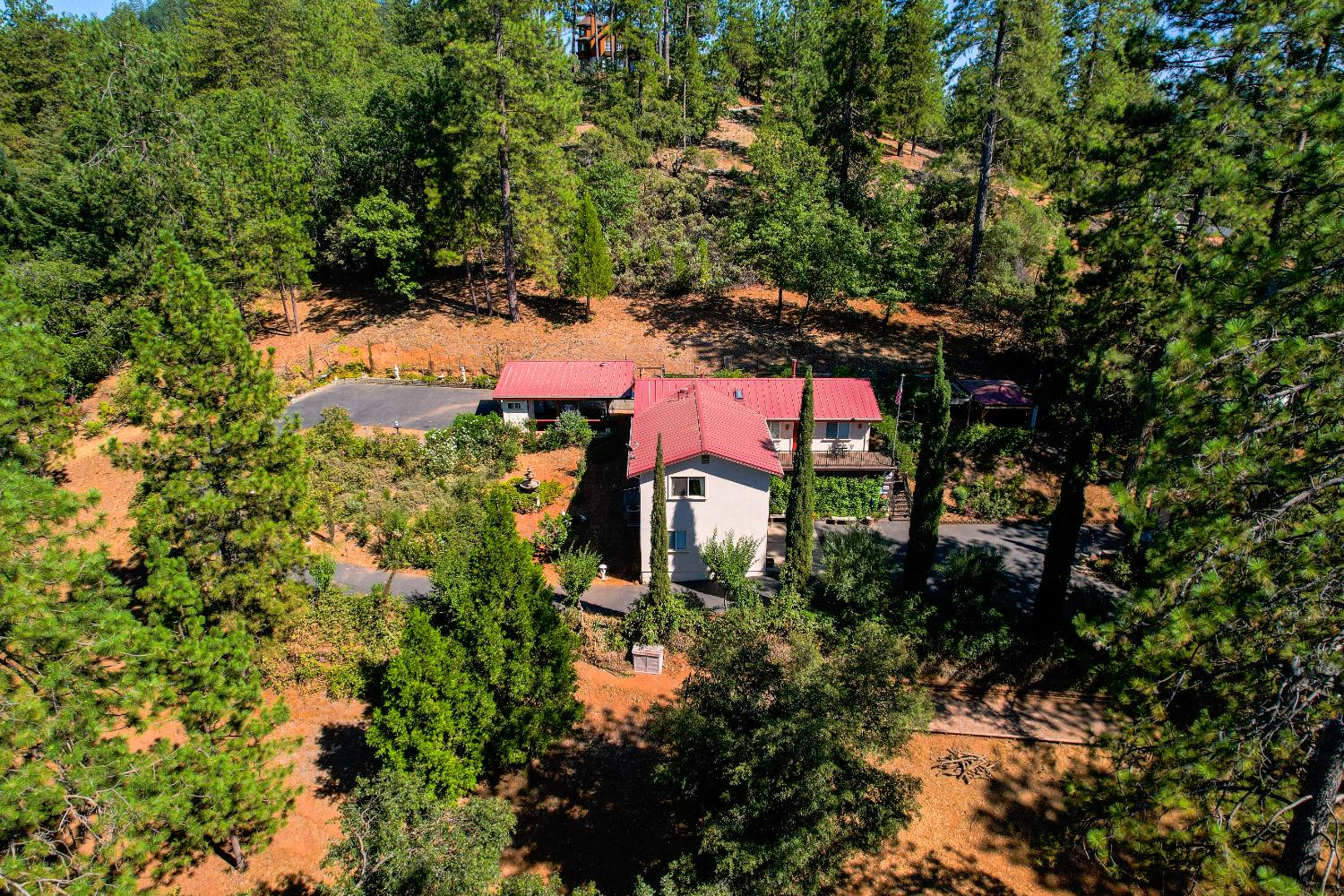 Cedar Valley Road, Colfax, California image 2