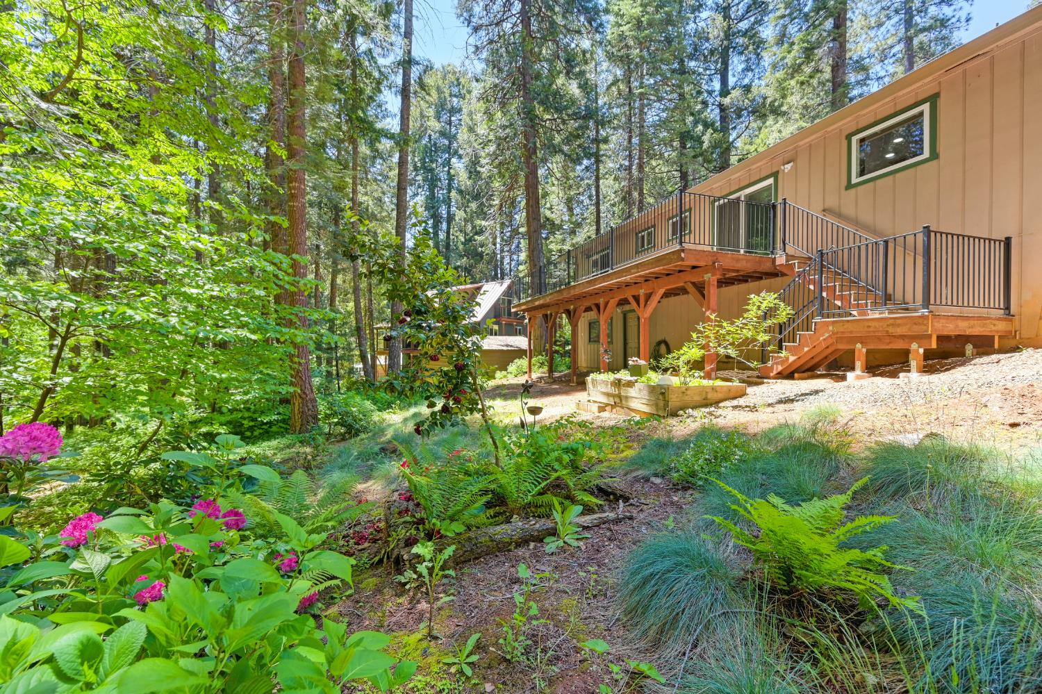 Detail Gallery Image 31 of 36 For 3063 Zinc Dr, Pollock Pines,  CA 95726 - 3 Beds | 2 Baths