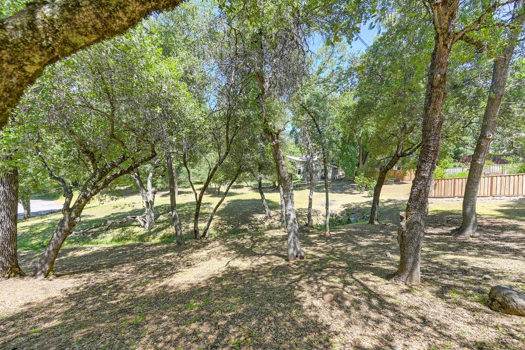 Detail Gallery Image 12 of 21 For 1624 Pheasant Run Dr, Placerville,  CA 95667 - – Beds | – Baths
