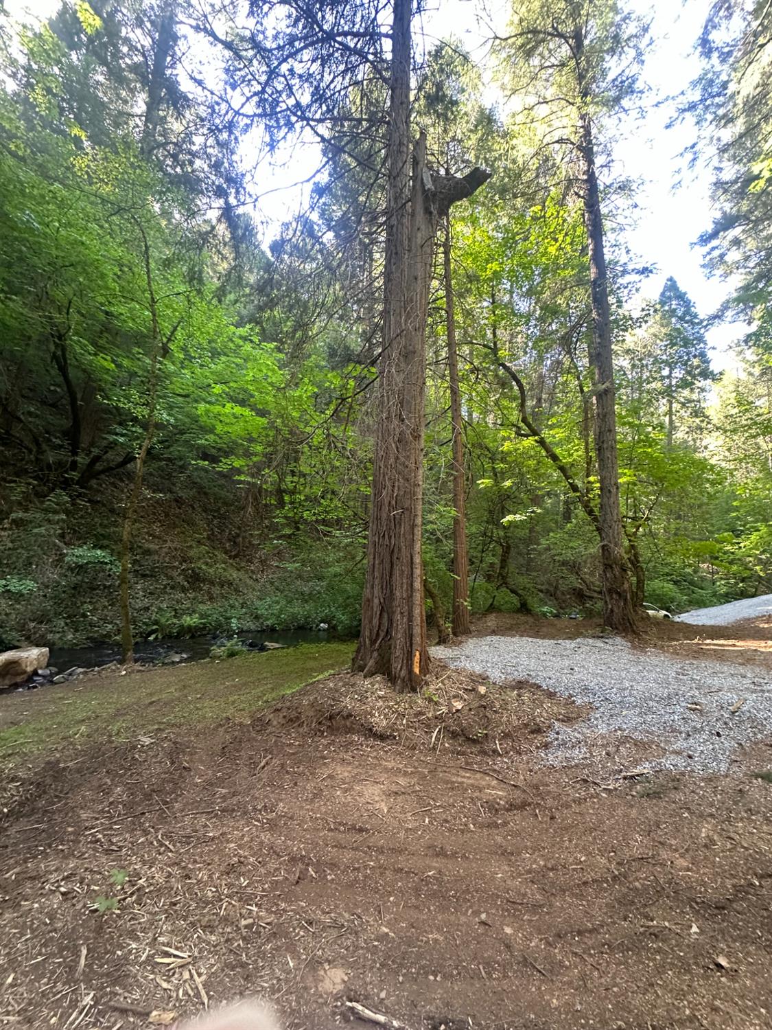 Detail Gallery Image 10 of 14 For 0 Clear Creek Road, Placerville,  CA 95667 - – Beds | – Baths