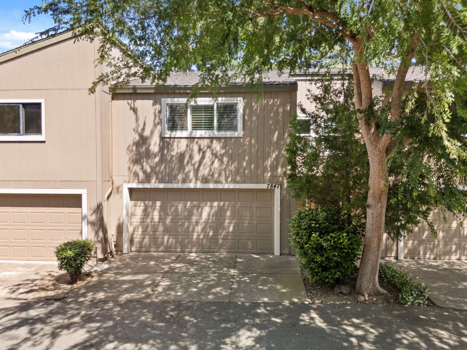 Photo #32: 225066352 Listing: Photo #32