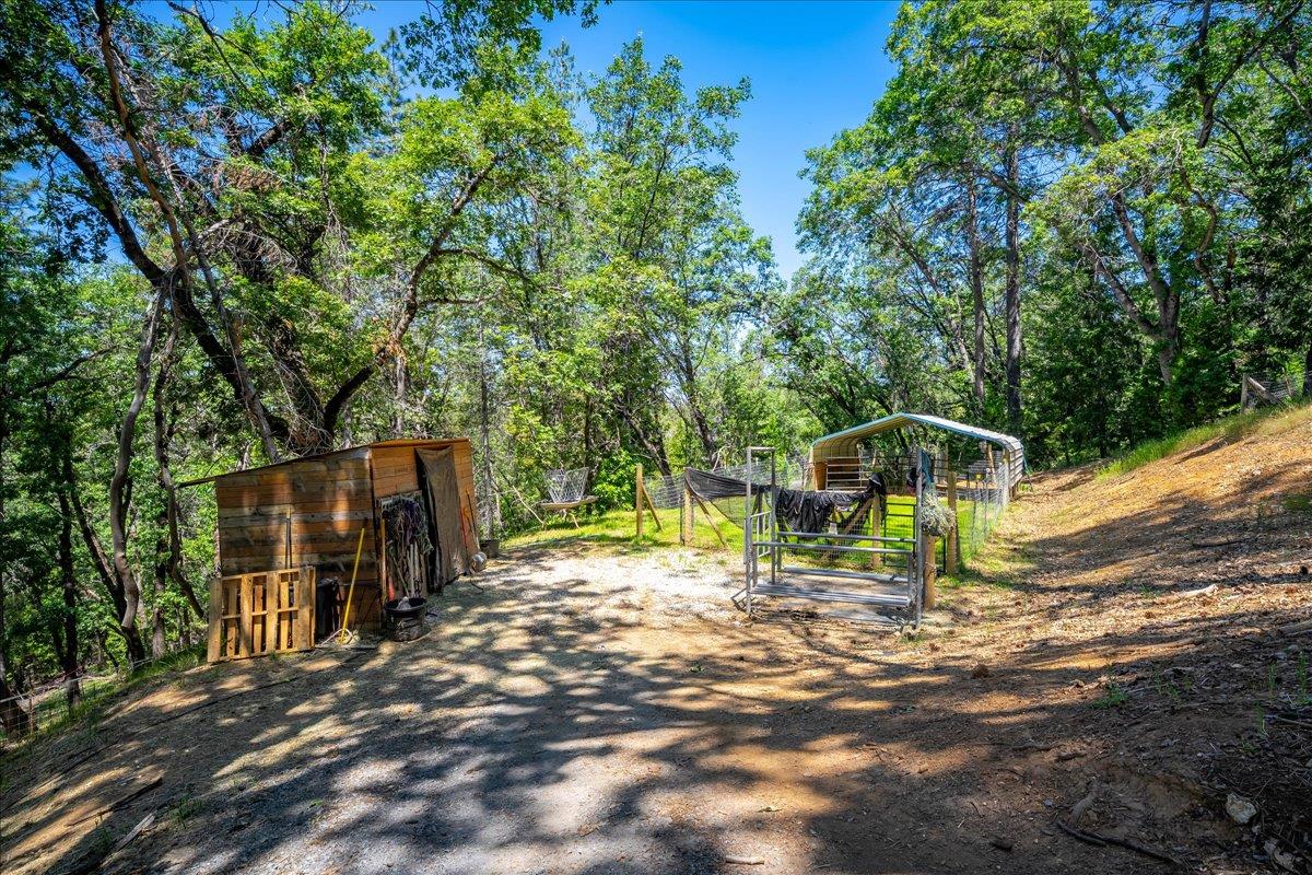 Detail Gallery Image 52 of 85 For 6551 Forest View Dr, Georgetown,  CA 95634 - 3 Beds | 3/1 Baths