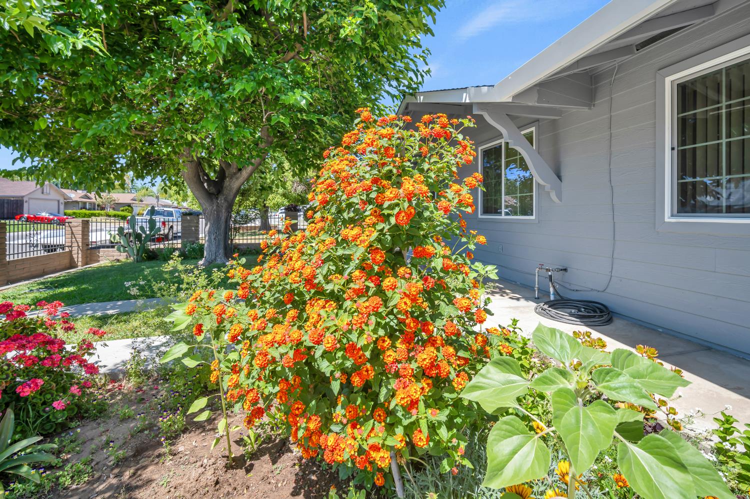Detail Gallery Image 8 of 47 For 7166 Arutas Dr, North Highlands,  CA 95660 - 3 Beds | 2 Baths