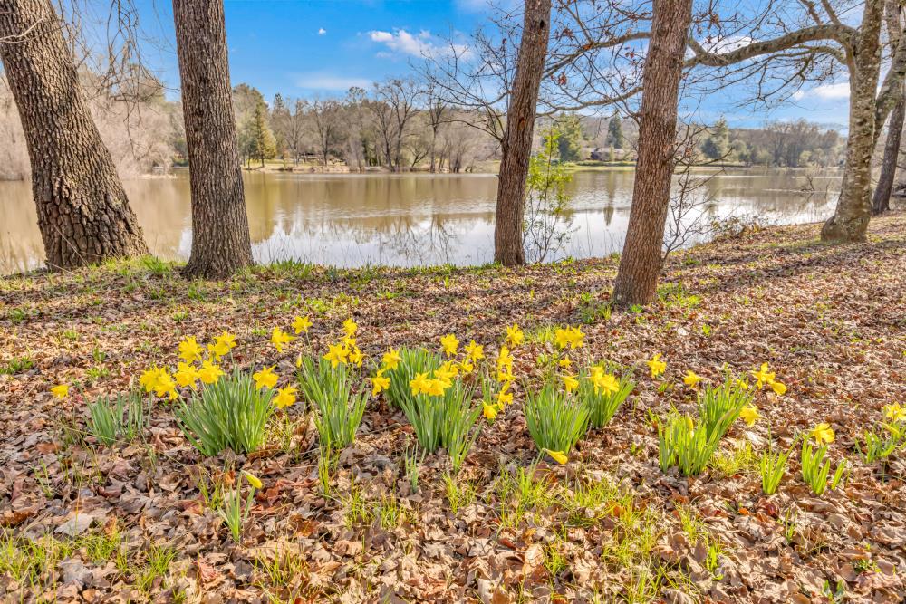 Detail Gallery Image 71 of 88 For 4620 Scenic Dr, Shingle Springs,  CA 95682 - 4 Beds | 3/1 Baths