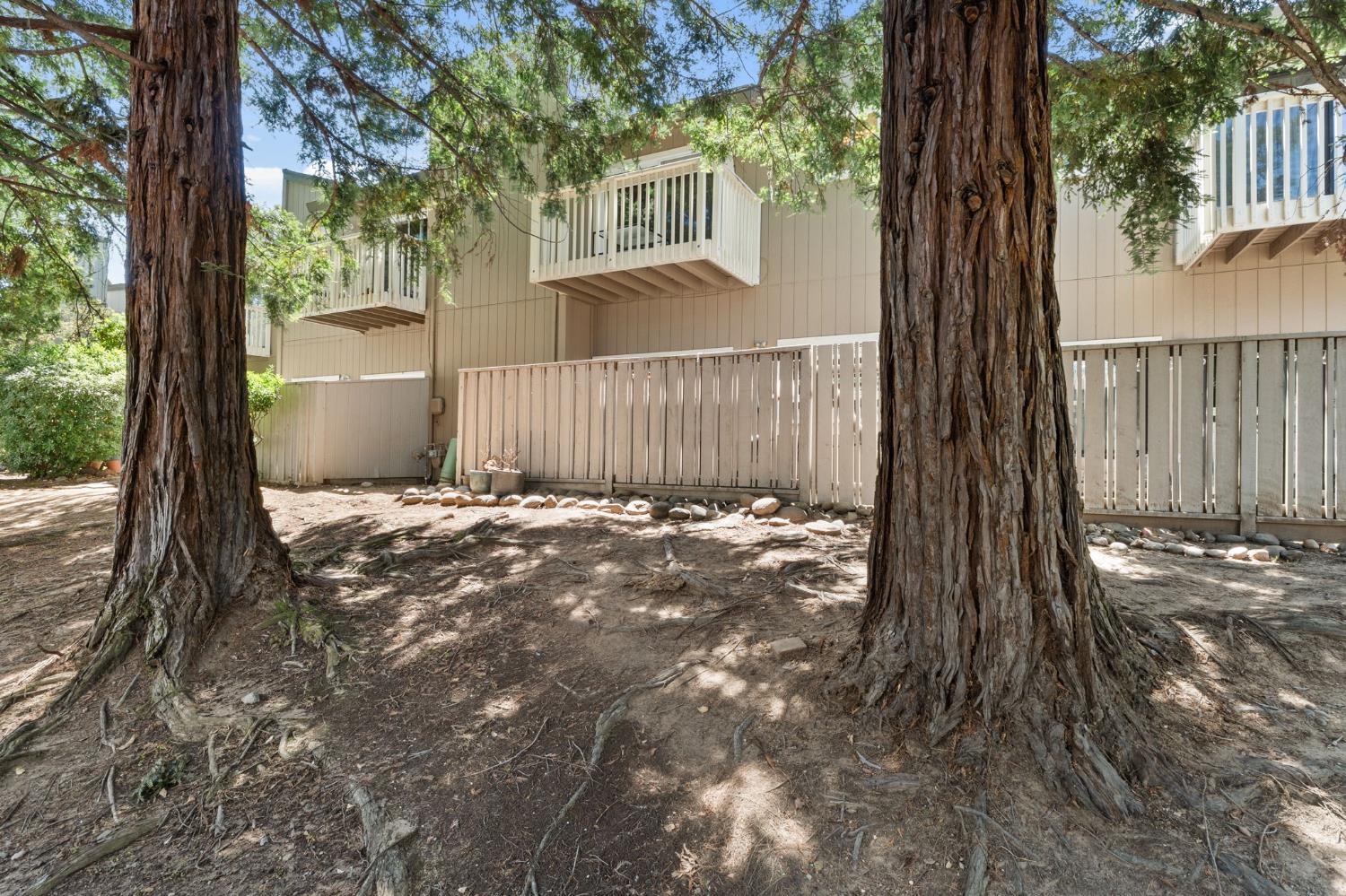 Photo #31: 225066352 Listing: Photo #31