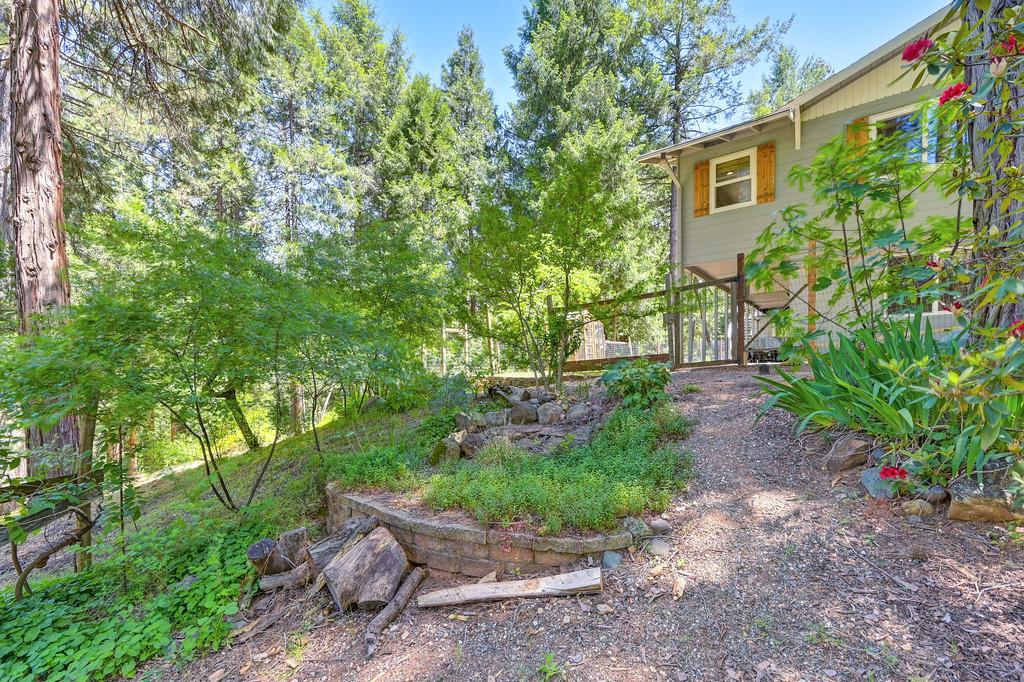 Detail Gallery Image 62 of 99 For 237 Sunnyside Dr, Colfax,  CA 95713 - 3 Beds | 2 Baths