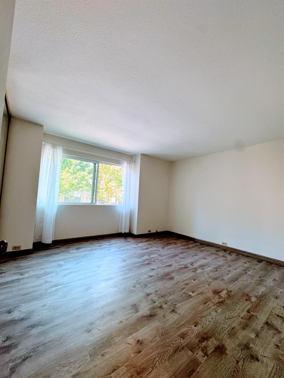 Photo #20: 225066822 Listing: Photo #20
