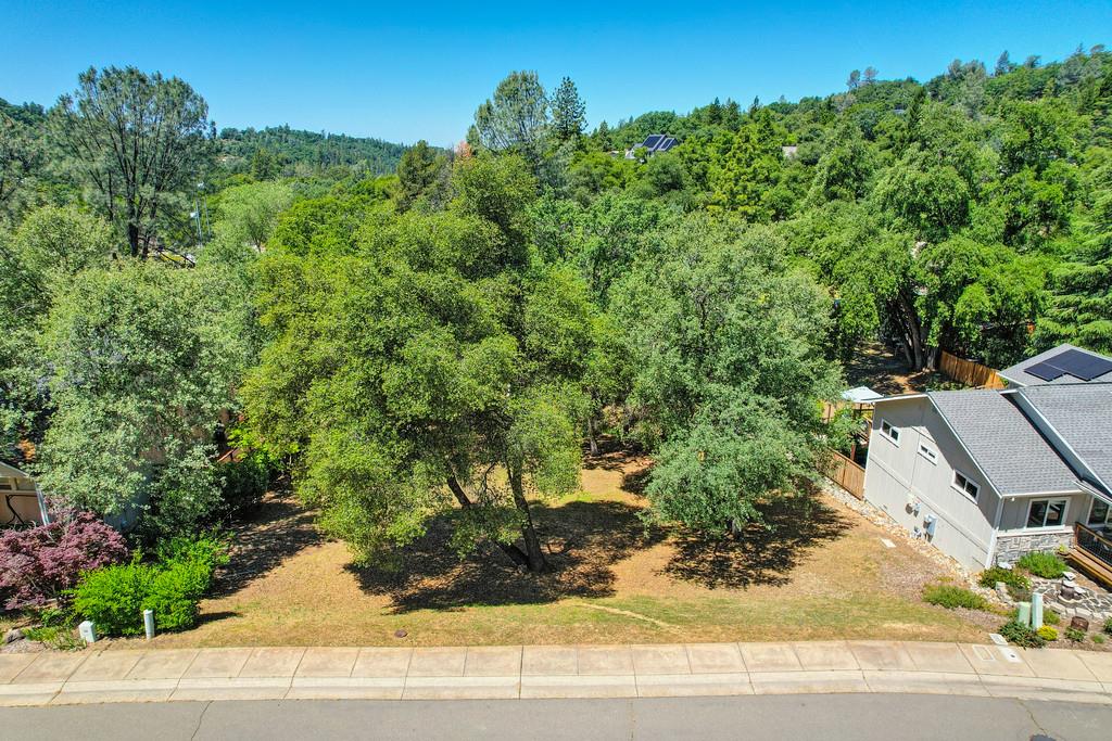 Detail Gallery Image 4 of 21 For 1624 Pheasant Run Dr, Placerville,  CA 95667 - – Beds | – Baths