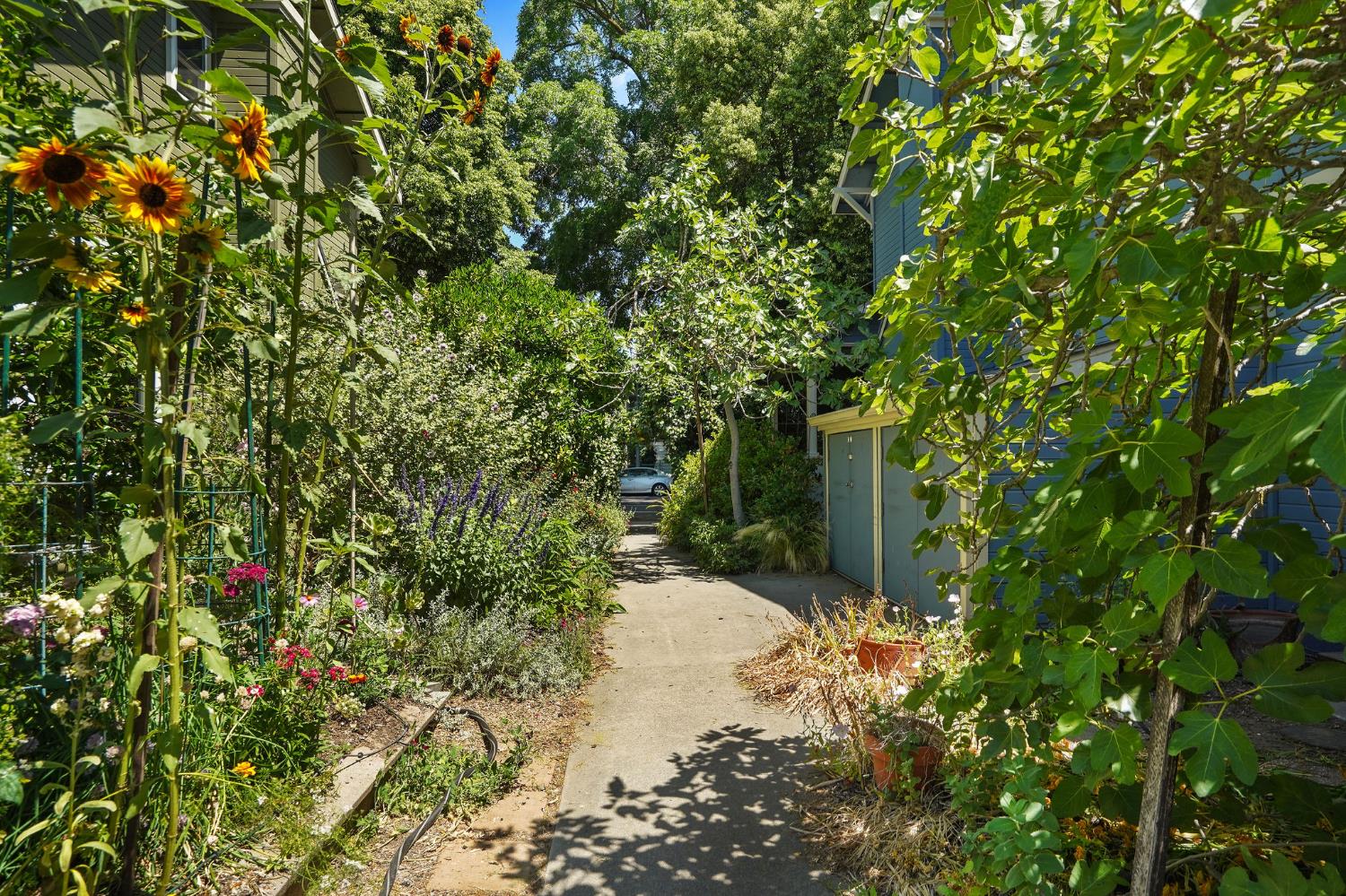 Photo #53: 225061604 Listing: Photo #53