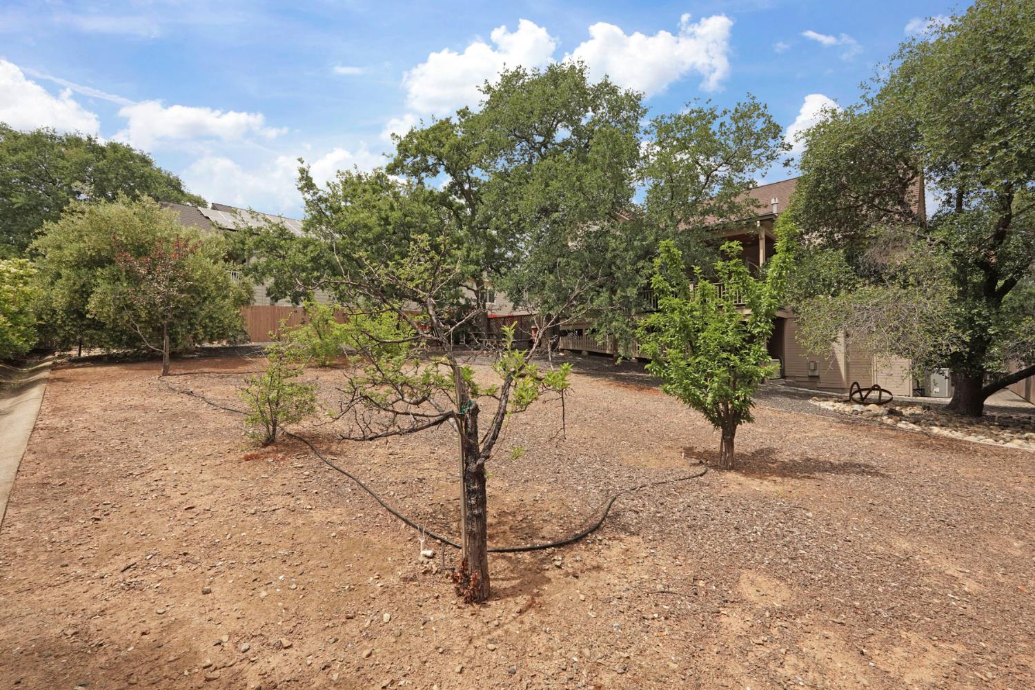 Detail Gallery Image 54 of 65 For 658 Live Oak Dr, Angels Camp,  CA 95222 - 3 Beds | 2/1 Baths