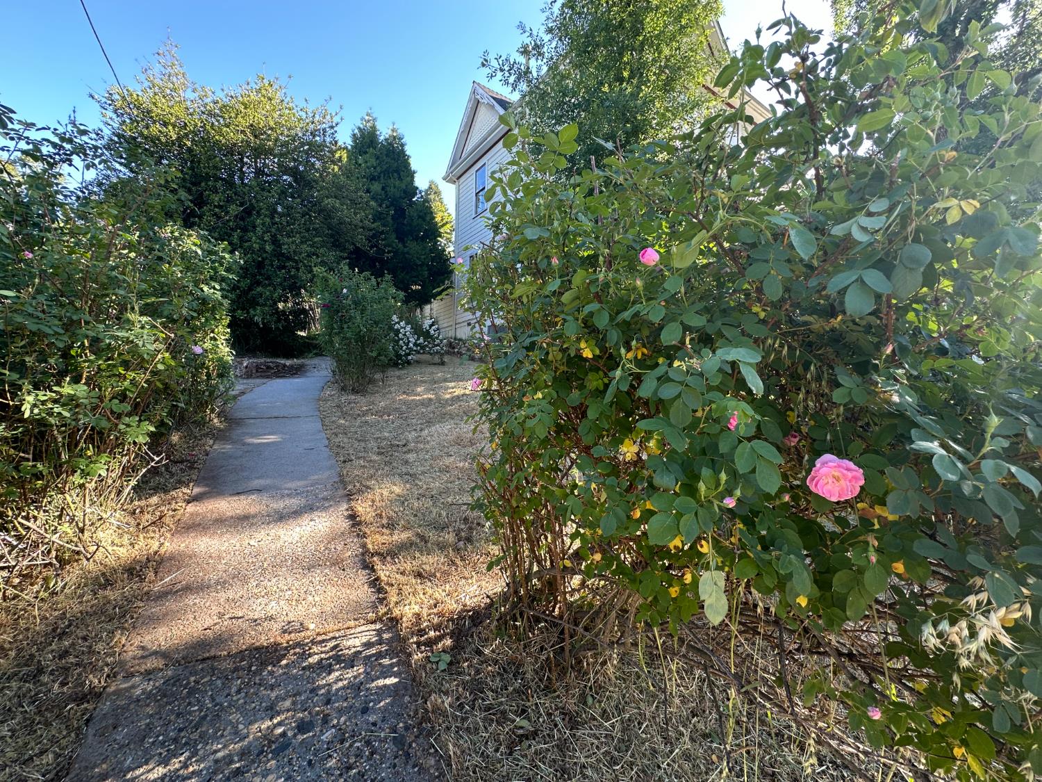Detail Gallery Image 10 of 32 For 240 E Main St, Grass Valley,  CA 95945 - – Beds | – Baths