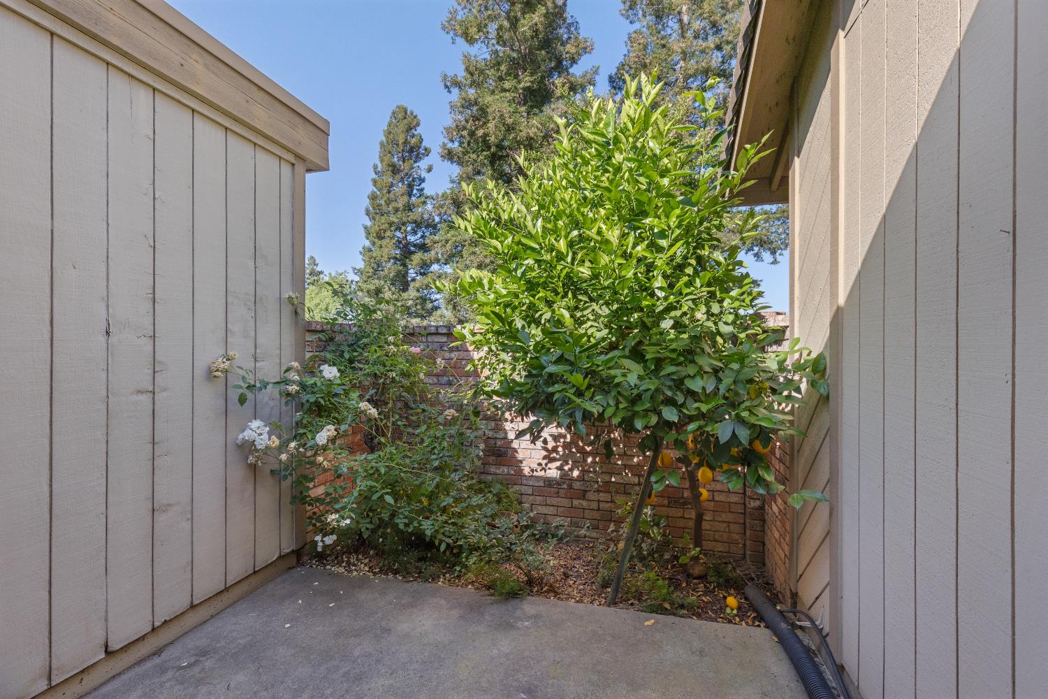 Detail Gallery Image 18 of 27 For 6401 El Porto Ln, Citrus Heights,  CA 95621 - 3 Beds | 2 Baths