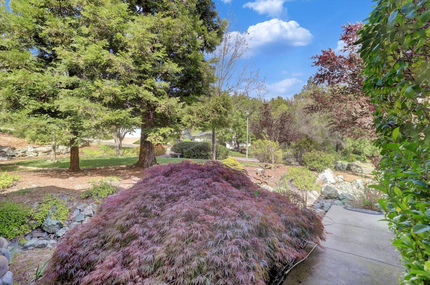 Silkwood Drive, Auburn, California image 45