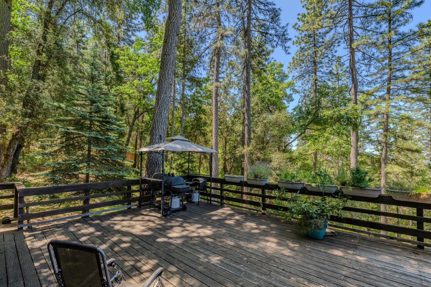 Detail Gallery Image 5 of 48 For 23205 Roden, Pioneer,  CA 95666 - 2 Beds | 2 Baths