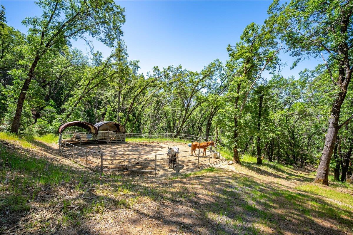Detail Gallery Image 51 of 85 For 6551 Forest View Dr, Georgetown,  CA 95634 - 3 Beds | 3/1 Baths