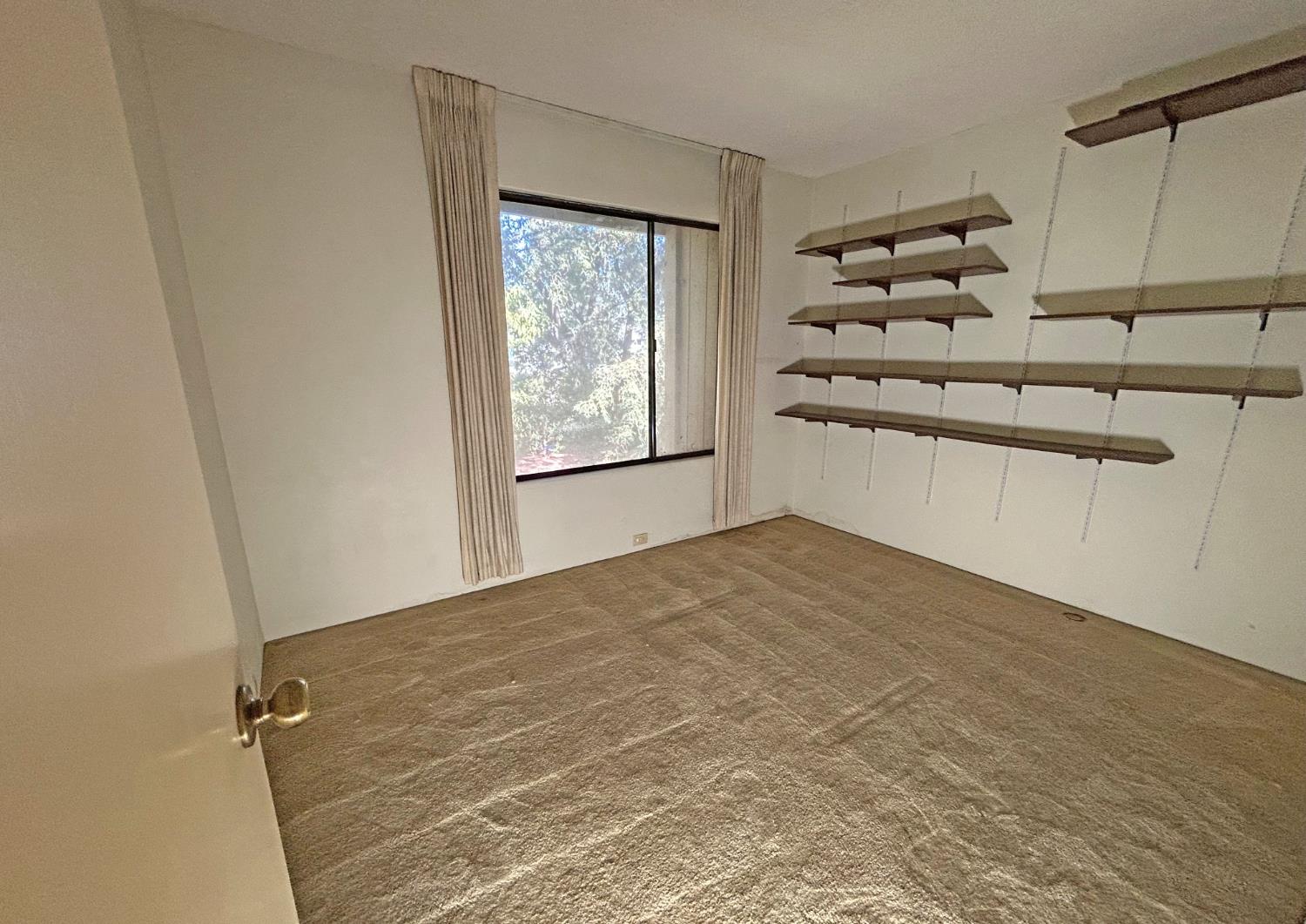 Photo #11: 225054913 Listing: Photo #11