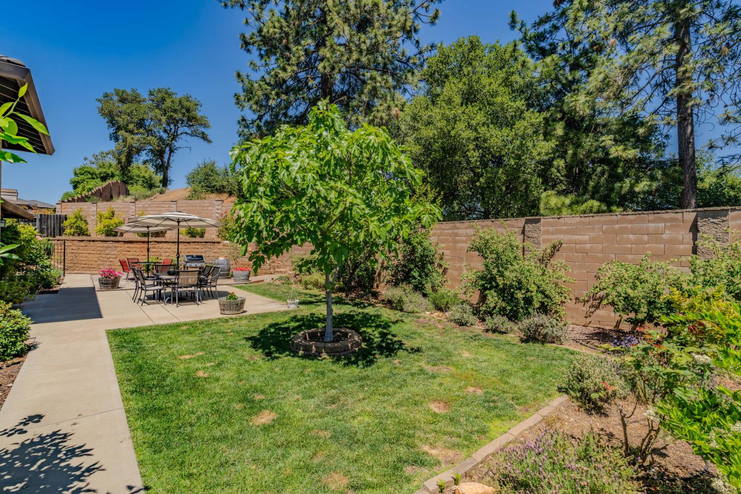 Detail Gallery Image 19 of 63 For 2025 Thomas Dr, Jackson,  CA 95642 - 3 Beds | 2 Baths