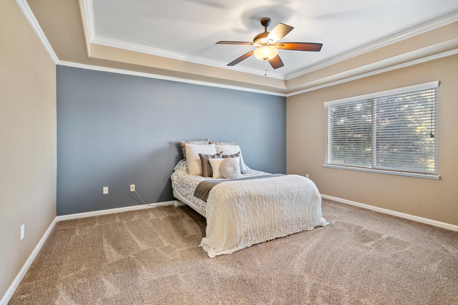 Piedmont Drive, Manteca, California image 33