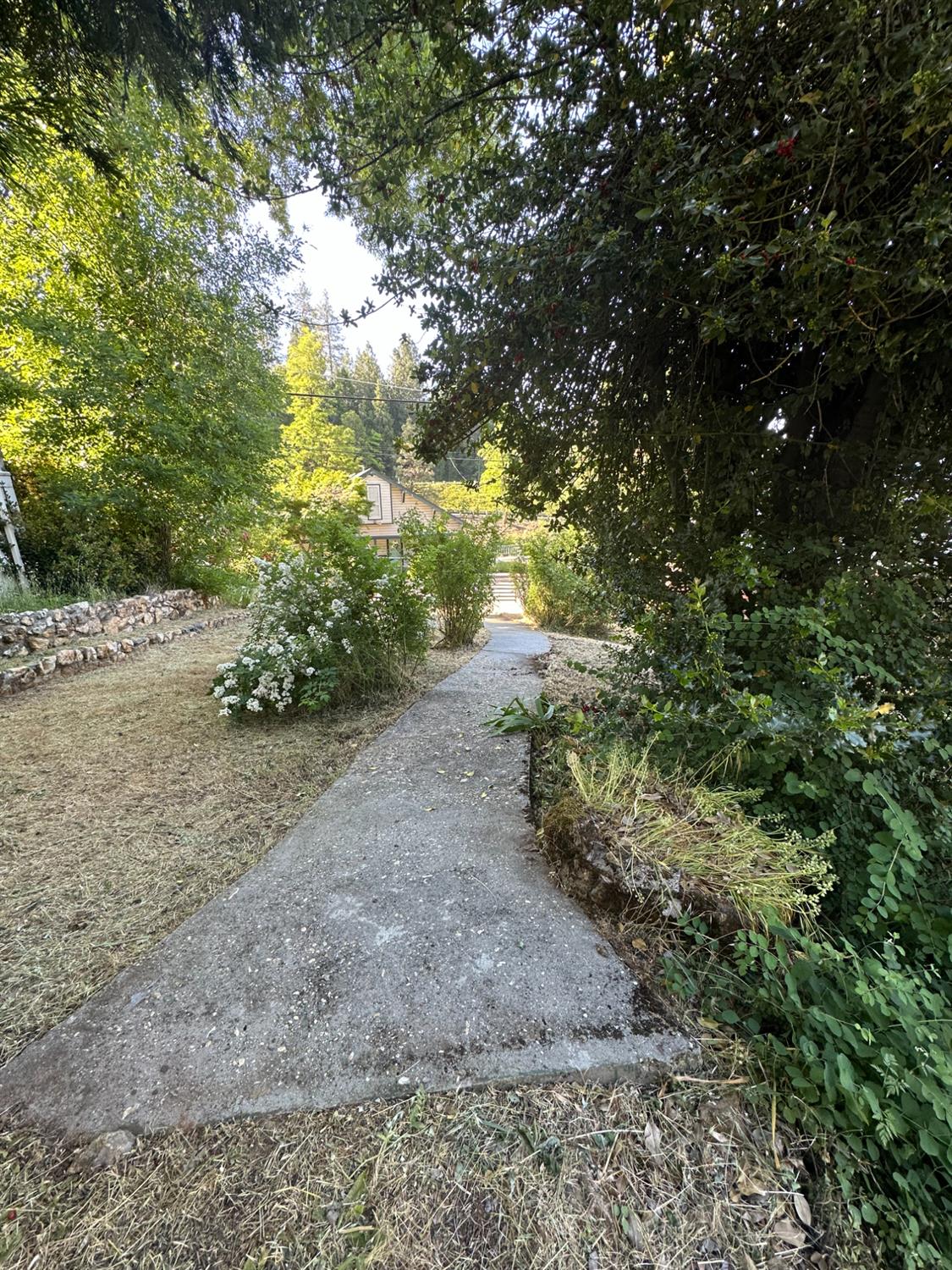 Detail Gallery Image 16 of 32 For 240 E Main St, Grass Valley,  CA 95945 - – Beds | – Baths