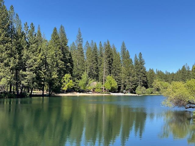 Detail Gallery Image 58 of 58 For 3340 Menominee, Arnold,  CA 95223 - 3 Beds | 2/1 Baths